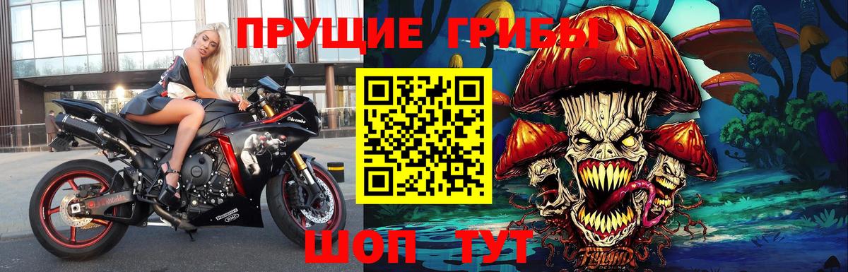 купить наркотики сайты  Вход с VPN  Волгодонск  Псилоцибиновые грибы мухоморы 